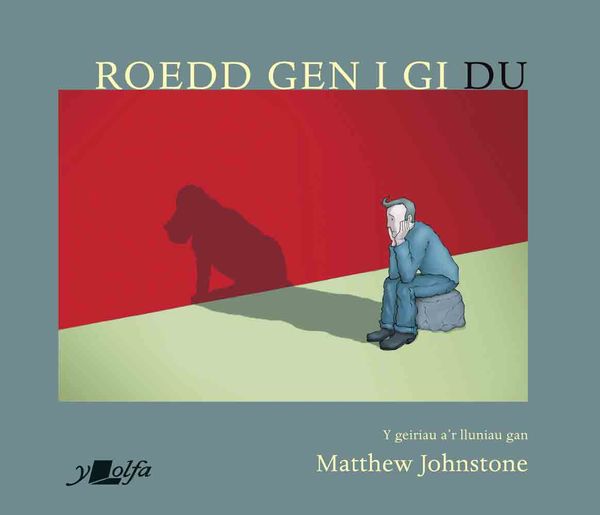 A picture of 'Roedd Gen i Gi Du' 
                              by Matthew Johnstone